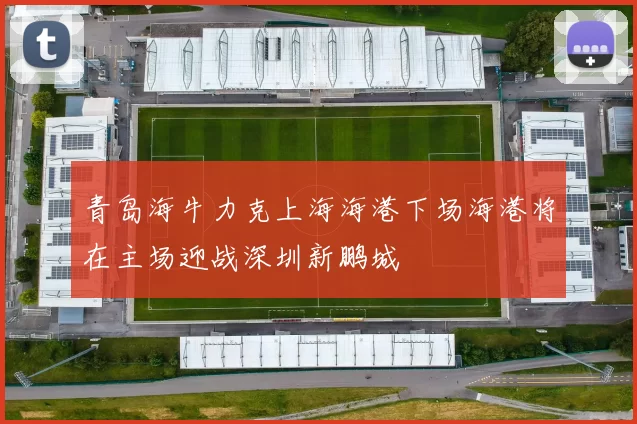 青岛海牛力克上海海港下场海港将在主场迎战深圳新鹏城