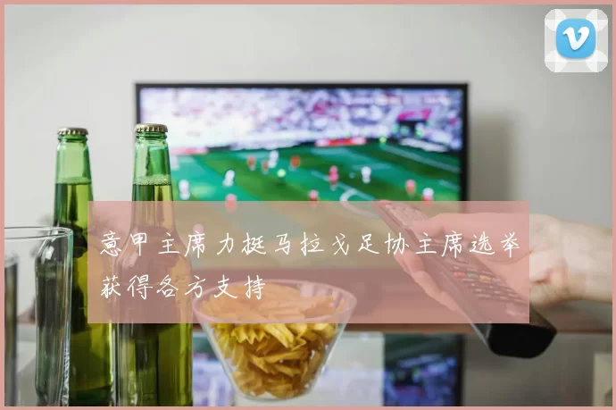 意甲主席力挺马拉戈足协主席选举获得各方支持